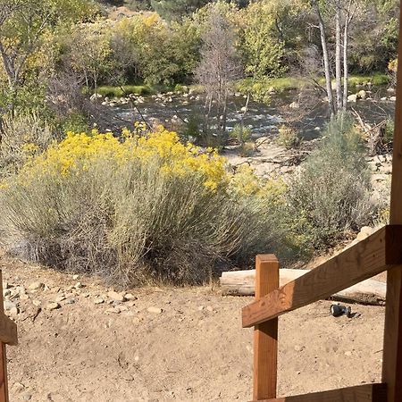 Socal Camping Kernville Eksteriør bilde